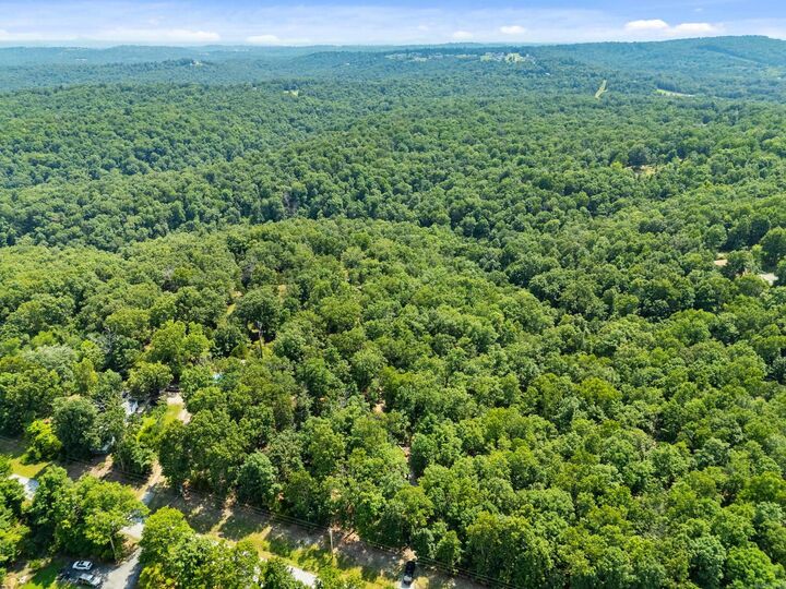 Property Photo:  325 Fish And Fiddle Rd  AR 72653 