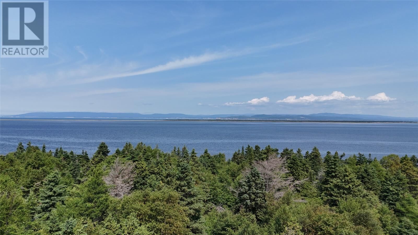 Property Photo:  522 Main Street  NL A0N 1Z0 