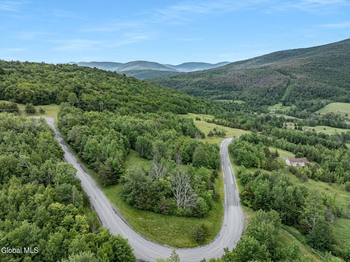 Property Photo: L40 Overlook Drive NY 12452