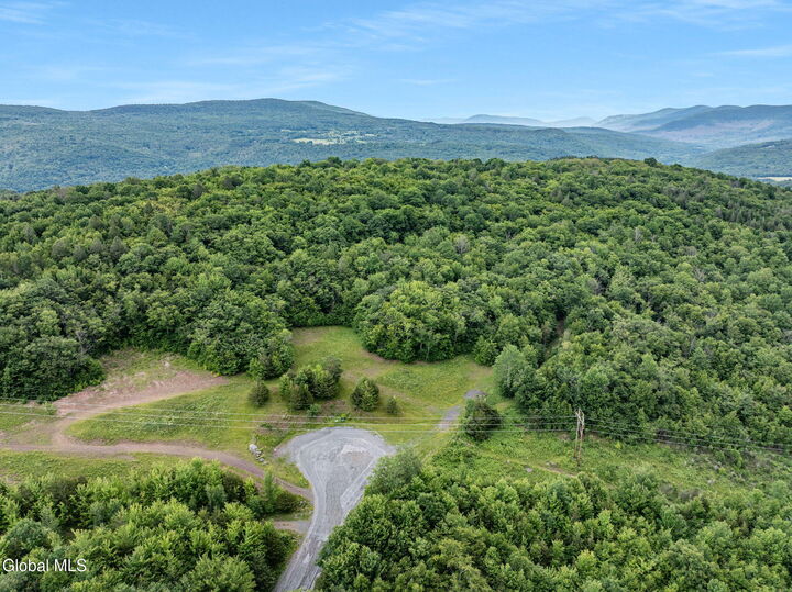 Property Photo:  L36 Overlook Drive  NY 12452 