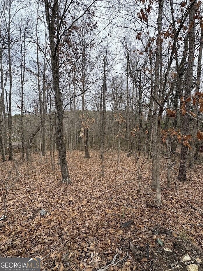 Property Photo: 0 Polk Avenue GA 30132
