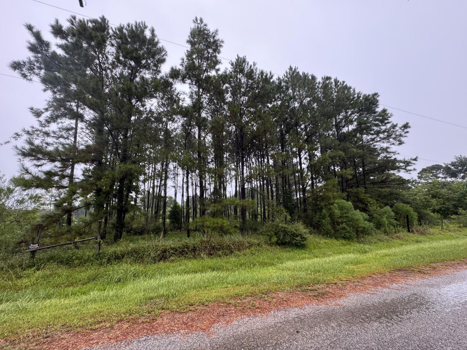 Property Photo:  235 County Road 1820  TX 77575 