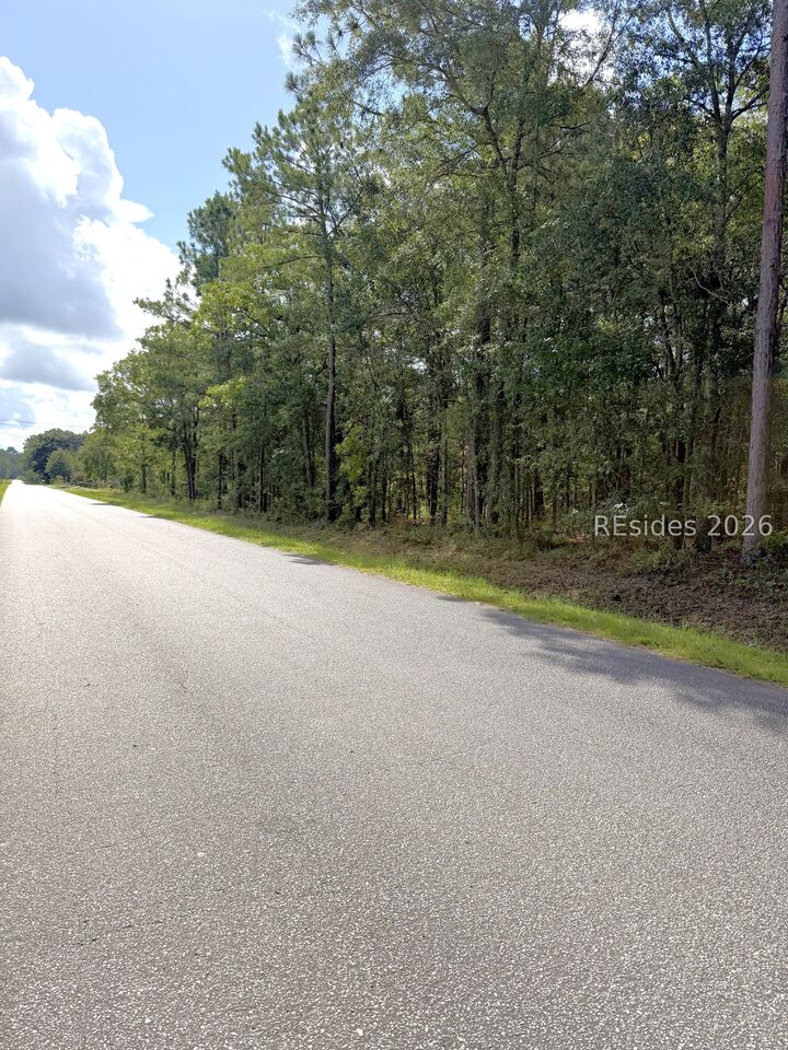 Property Photo: 90 Honey Drive SC 29488