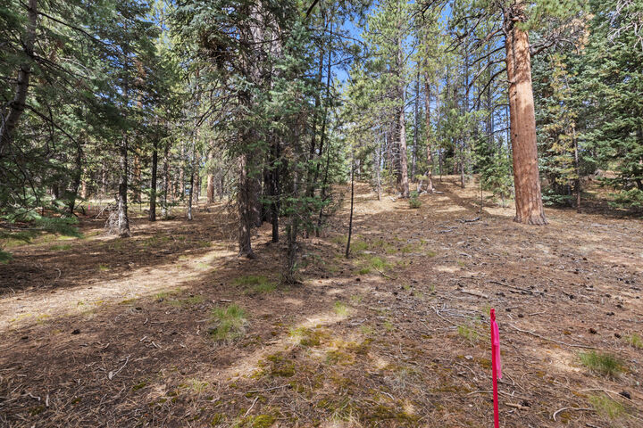 Property Photo:  20 Pinetree Trail  UT 84762 