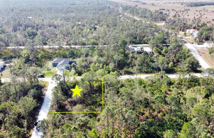 Property Photo:  12355 Graffiti Drive  FL 33955 