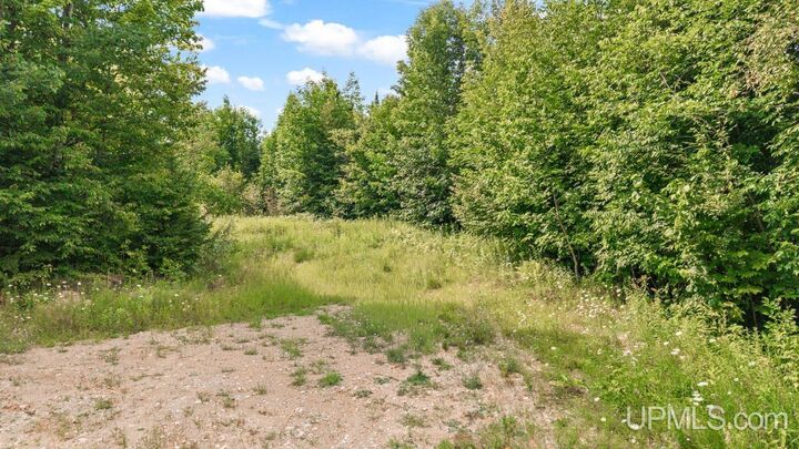 Property Photo: Tbd Bartels Road MI 49834