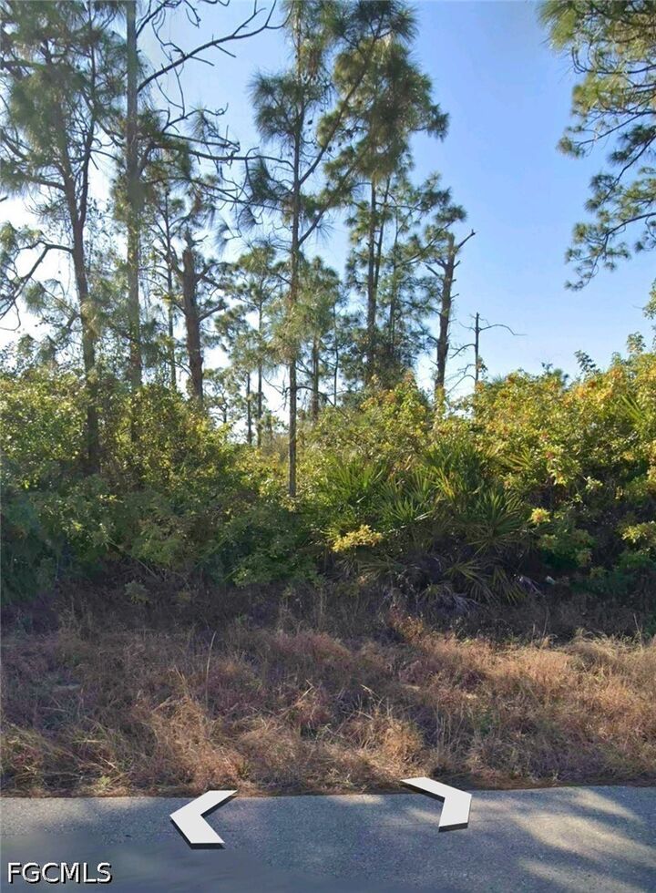 Property Photo:  558 Genoa Avenue S  FL 33974 