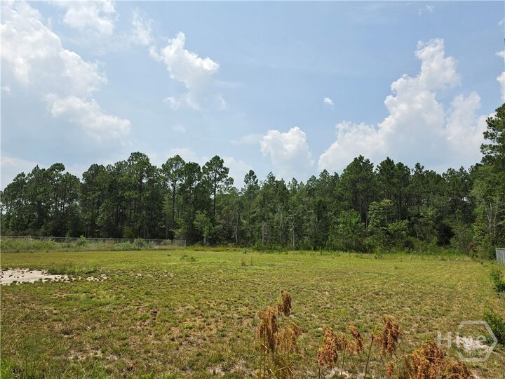 Property Photo: 1.37 Ac Bill Wells Road NE GA 31316