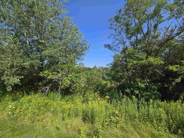 Center Line Road — photo 1