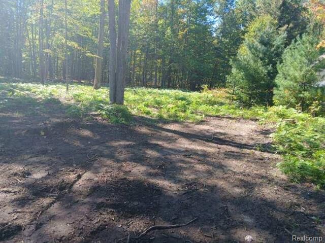 Property Photo: 0 Goldenrod Dr MI 48629
