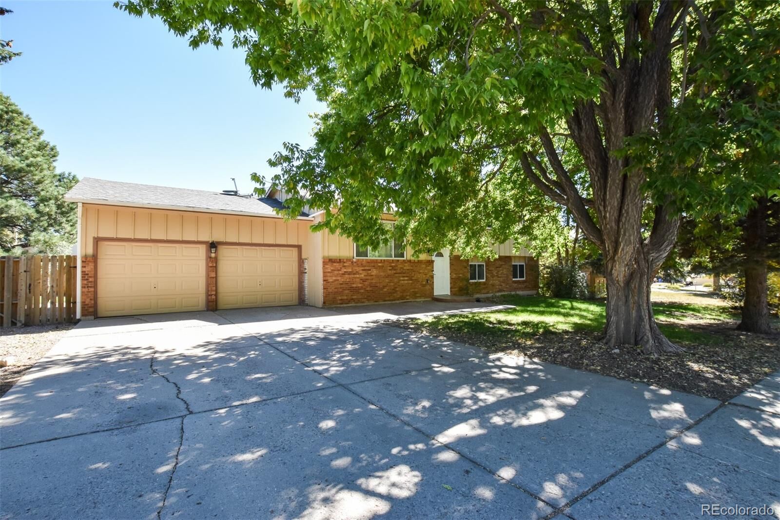 Property Photo:  4925 Hackamore Drive  CO 80918 