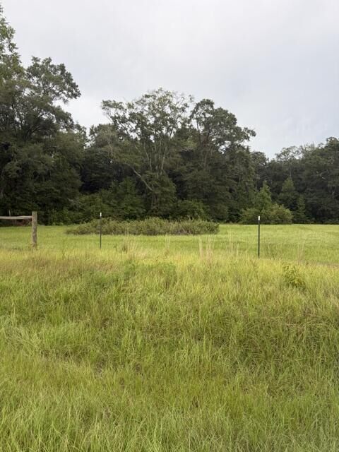 Property Photo:  0 State Highway 103 Lot 3  AL 36375 