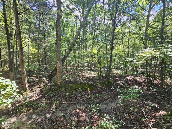 Property Photo:  625 Harts Creek Drive  NC 27312 