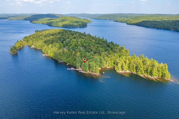 19750 Kawagama Big Trout Island — photo 1