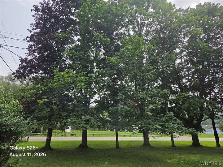 Property Photo: 9670 Route 446 NY 14727