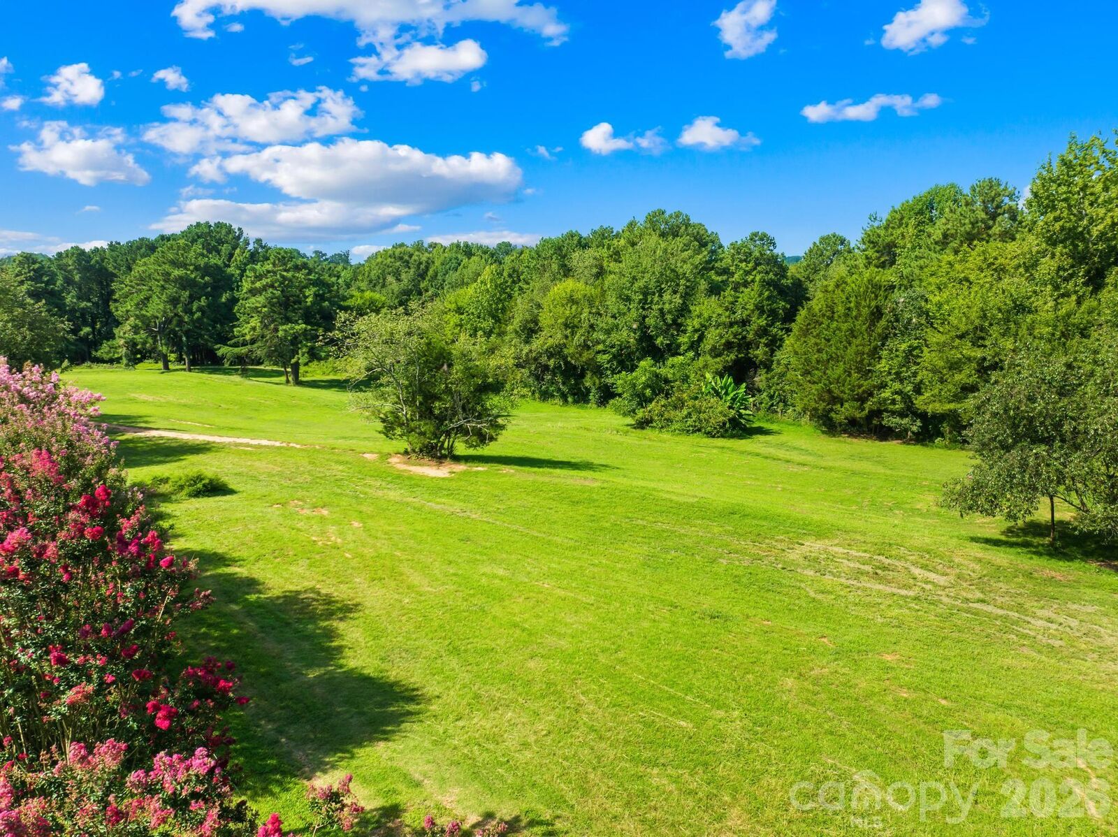 Property Photo: 325 Big Indian Loop NC 28117