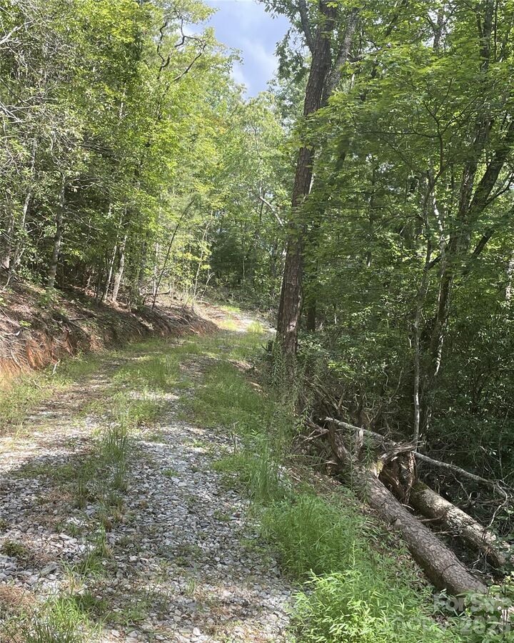 Property Photo: 2060 US 19 Highway S NC 28713