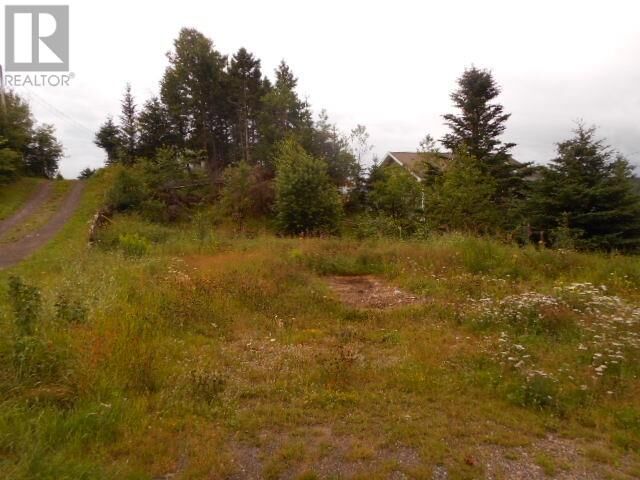 Property Photo:  127 Bayview Road  NL A0J 1T0 