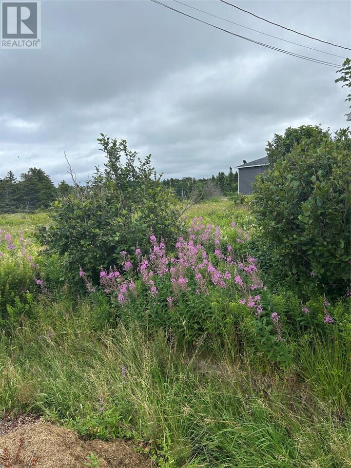 Property Photo:  32 Dawes Place  NL A1X 6Z7 