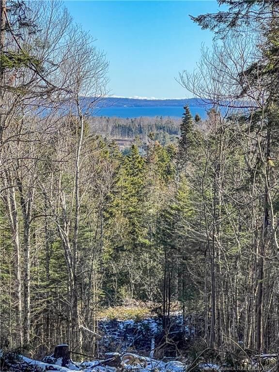 Property Photo:  Land Chamcook Lake No 1  NB E5B 2Z4 