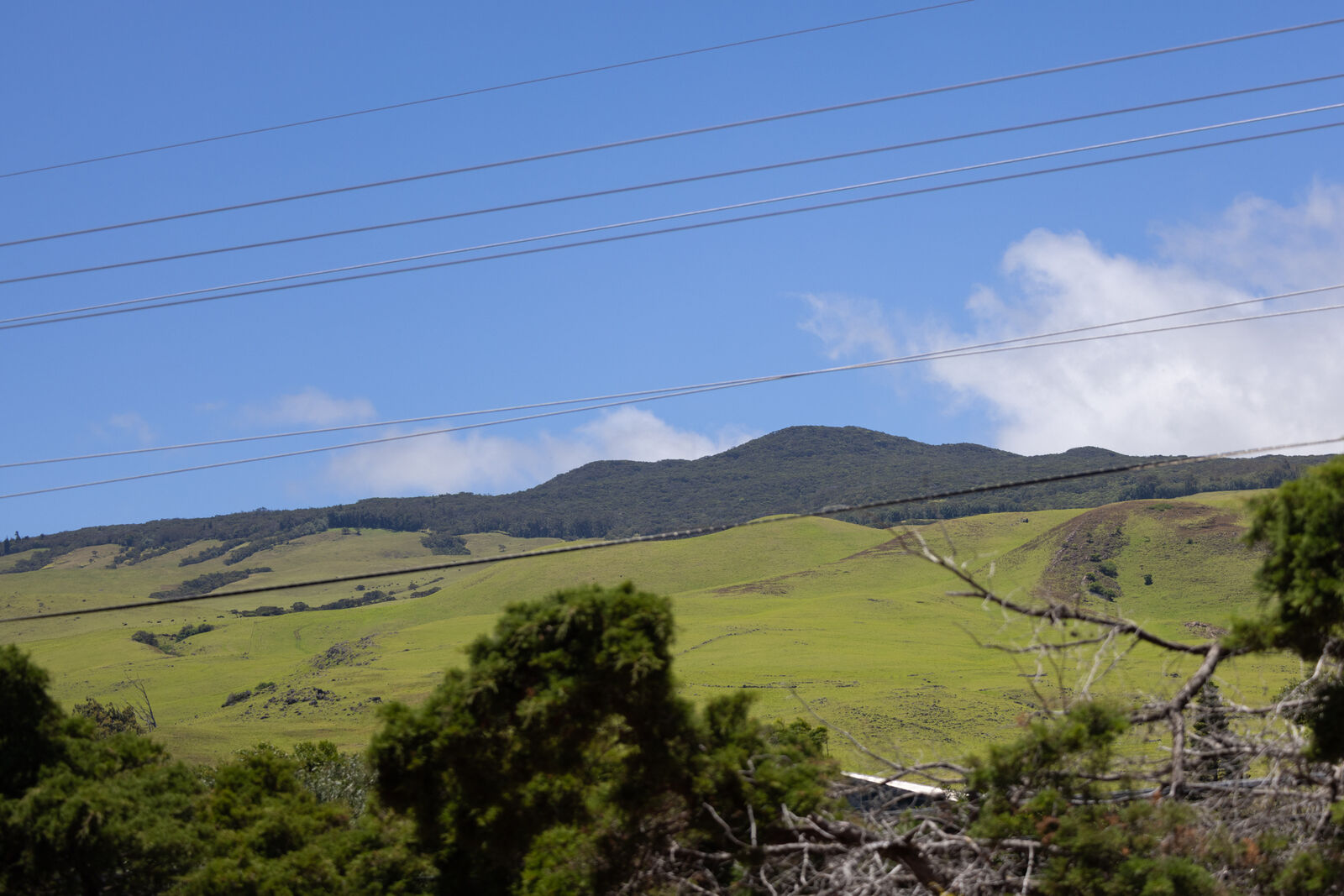 Property Photo: 66-1697 Kawaihae Rd HI 96743