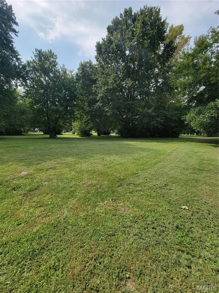 Property Photo:  Tbd S Walnut Street  IL 62056 
