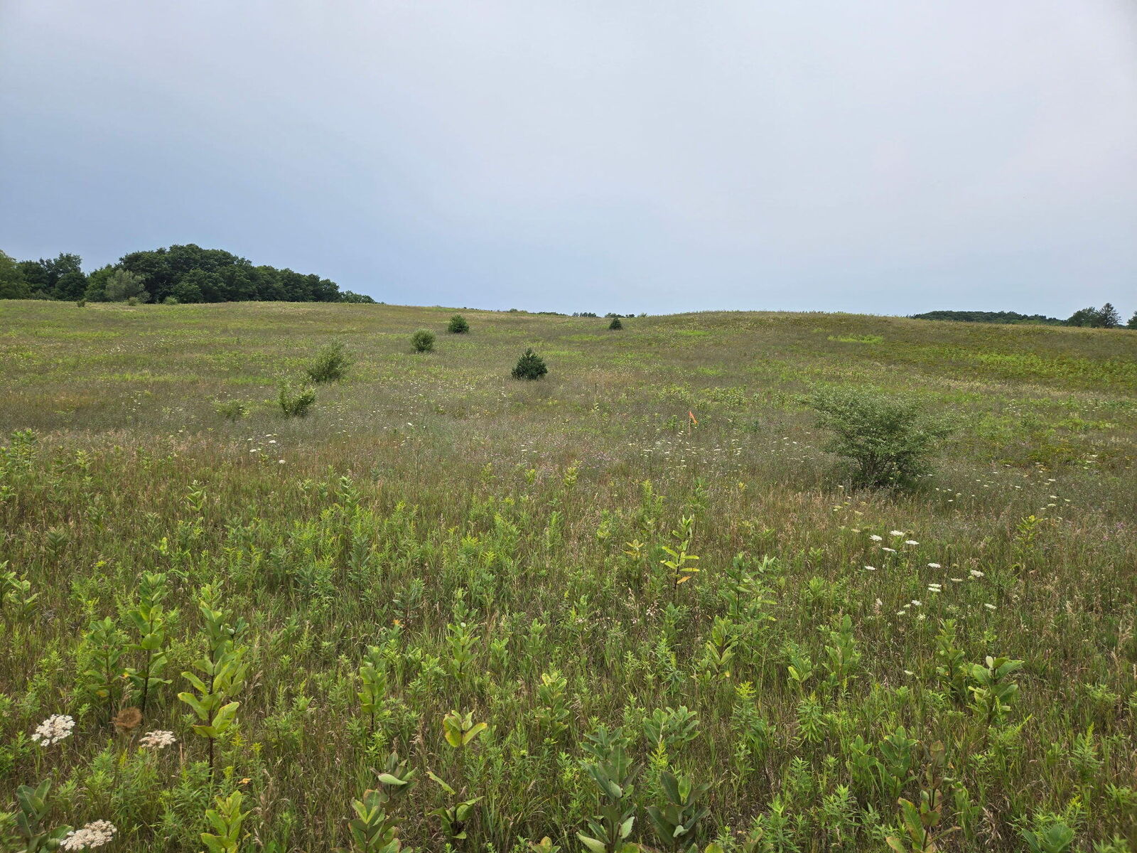 Property Photo: Parcel G Water Road MI 49420
