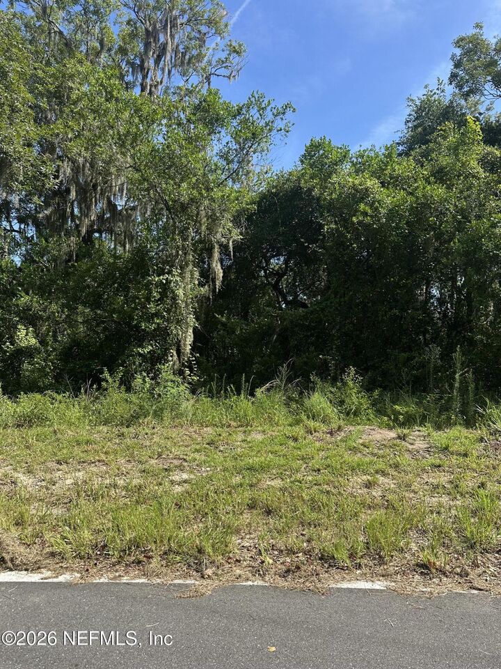 Property Photo: 232 Lakeview Drive FL 32189