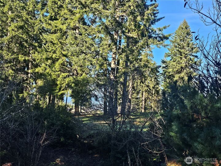 Property Photo: 1190 E Manzanita Drive WA 98592