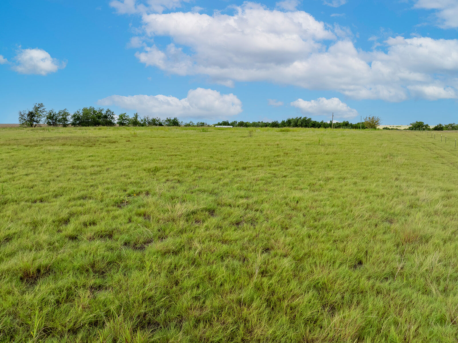 Property Photo:  5275 County Road 424 Road  TX 76574 