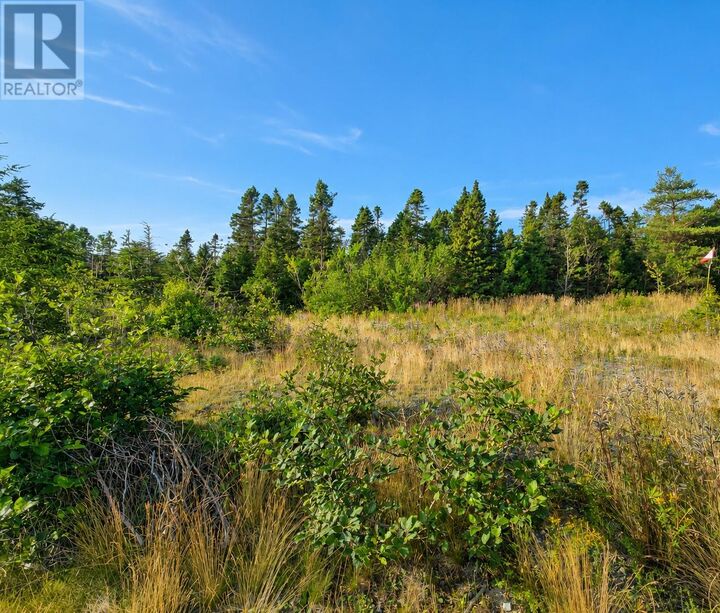Property Photo:  21 Hiscock's Lane  NL A1W 5C2 