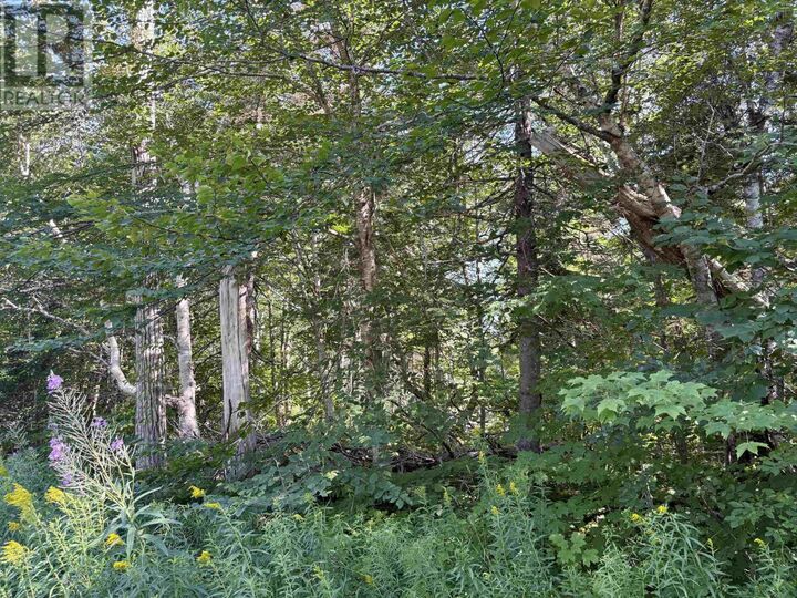Property Photo:  0 Kingross Crossing Road, Big Intervale  NS B0E 2C0 