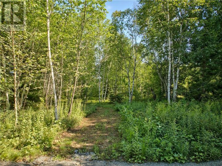 Property Photo:  0 Highway 537 Highway  ON P0M 3C0 