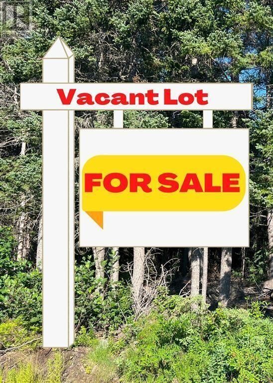 Property Photo: 0 Martins Pond Road NL A0B 2A0