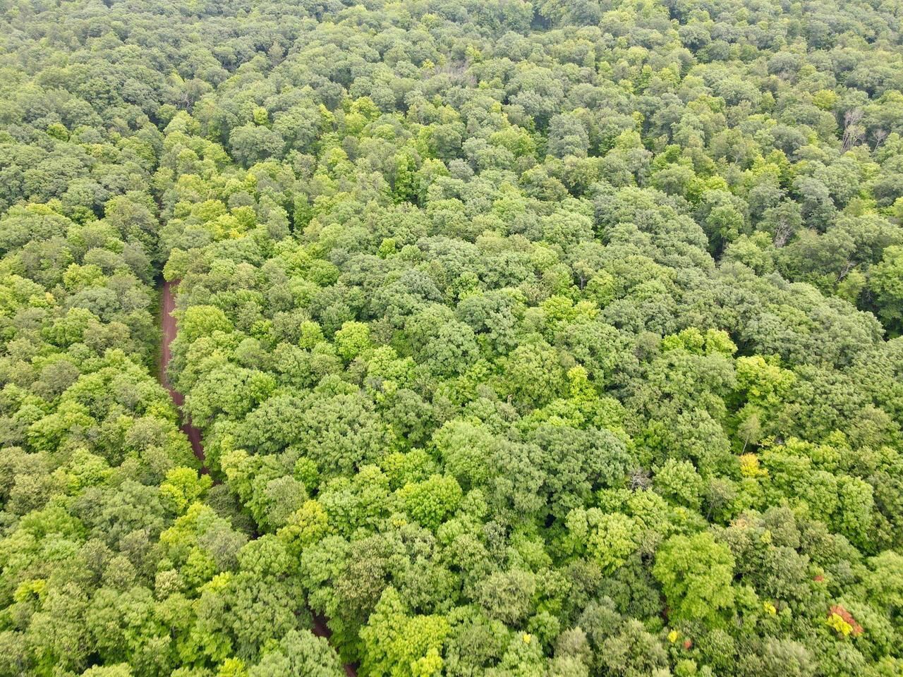 Property Photo: Lot 4 Crane Foot Lake Road WI 54435
