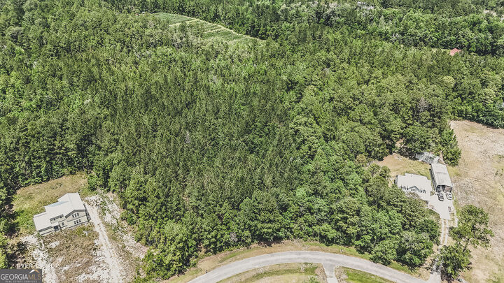 Property Photo:  V/L 22 Village Drive  GA 31569 