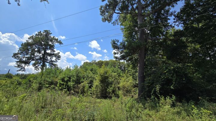 Property Photo:  7161 Molton Road  GA 31216 
