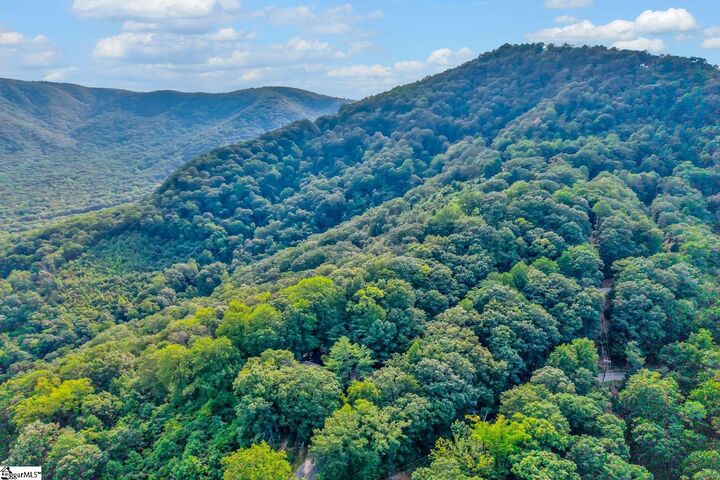 Property Photo: 00 Hogback Mountain Road NC 28782