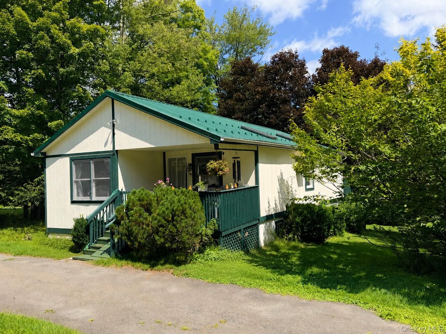 Property Photo:  46 Timber Hill Lane  NY 12779 