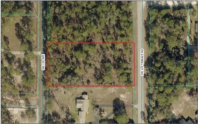 Property Photo:  Tbd SW 130th Avenue  FL 34432 