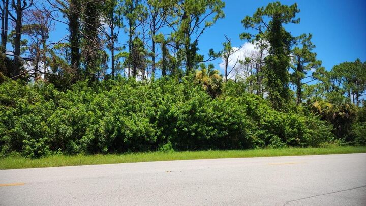 Property Photo:  151 Ravenswood Boulevard  FL 33954 