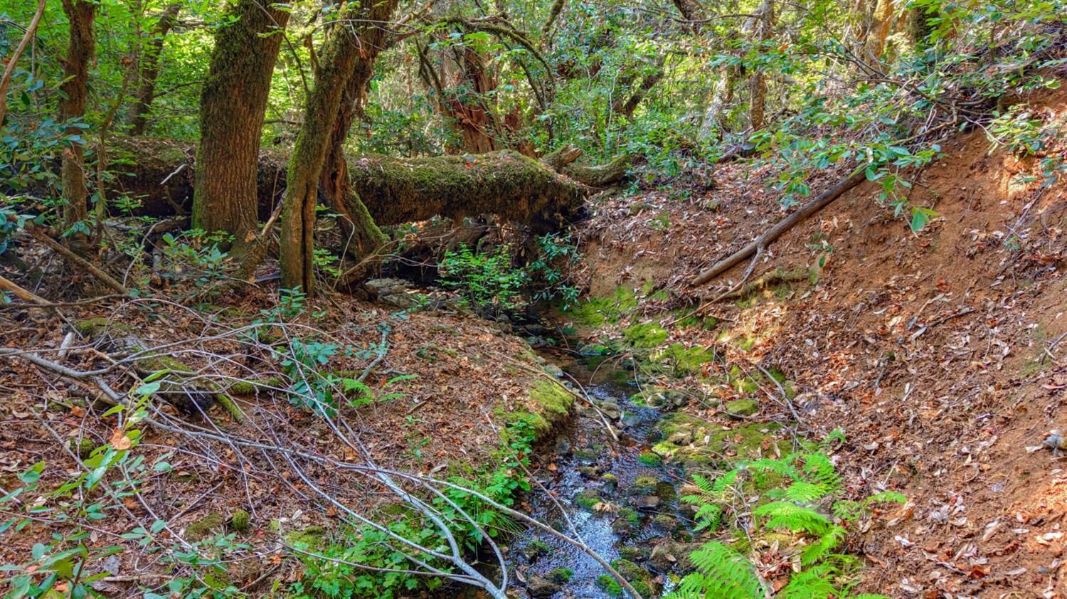 Property Photo:  18048 Zamora Trail  CA 95922 