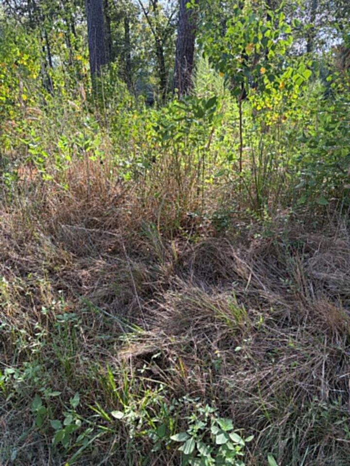 Property Photo:  R(1) 155685 Miles Road  TX 75901 