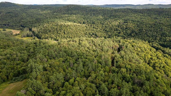 Property Photo:  00 Hilliard Road  NH 03601 