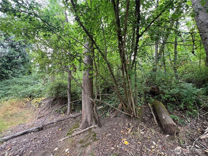 Property Photo: 0 X Allen Drive WA 98626