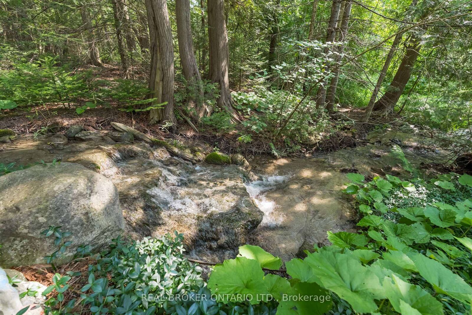 Property Photo:  30725 Hockley Road  ON L9W 6N7 