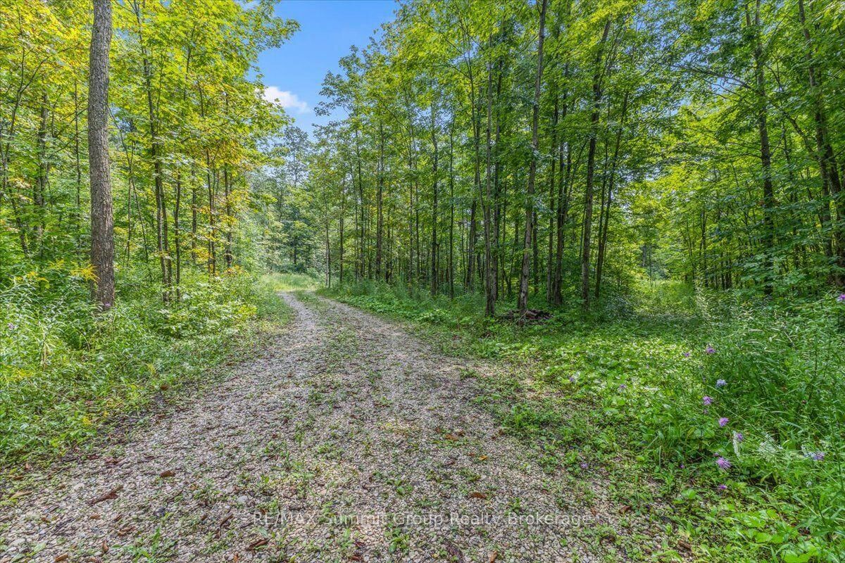 Property Photo:  Pt Lt 4 Concession Road 8 N/A  ON N0C 1H0 
