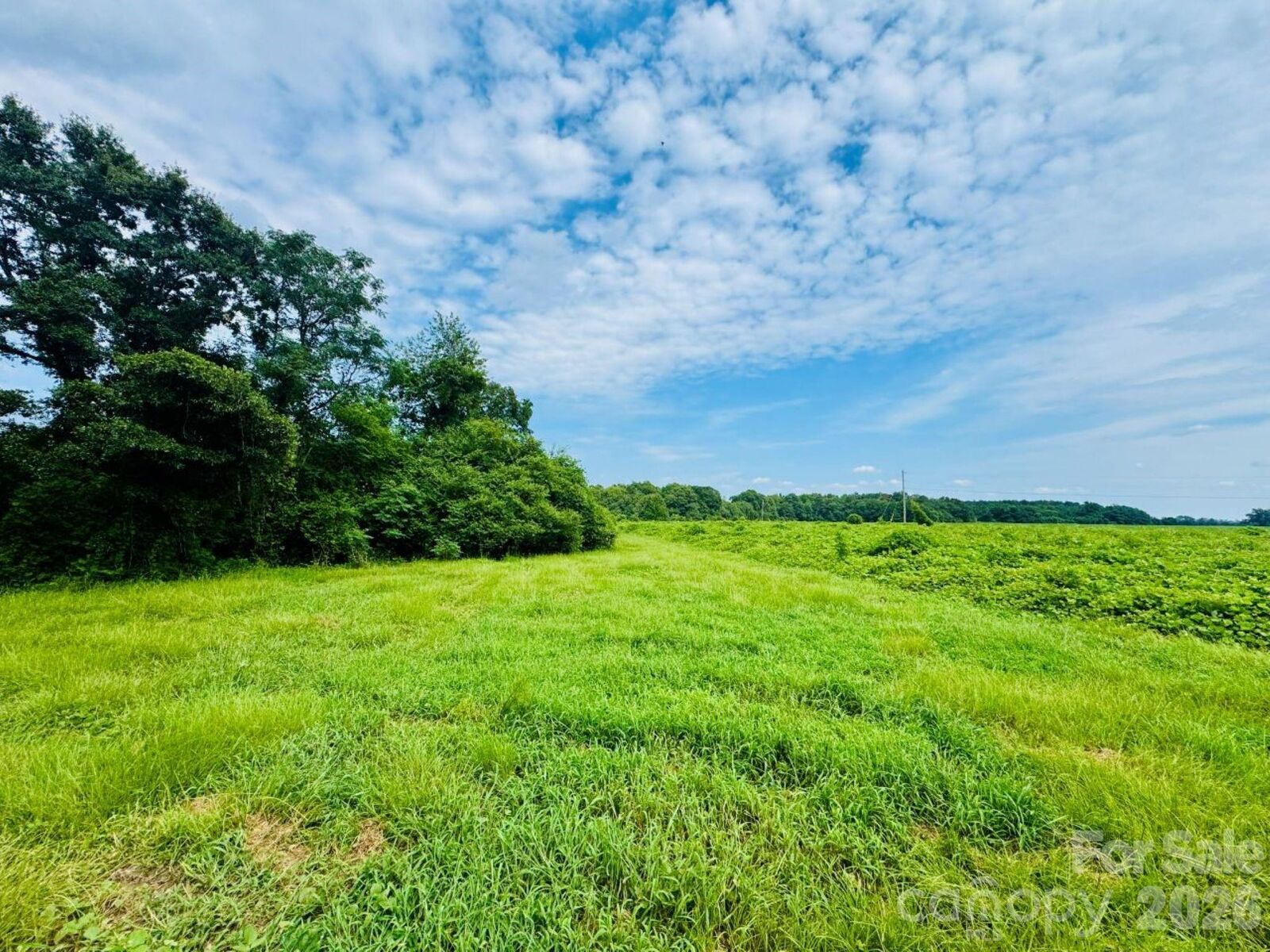 Property Photo: 0000 Skeeter Lane SC 29570