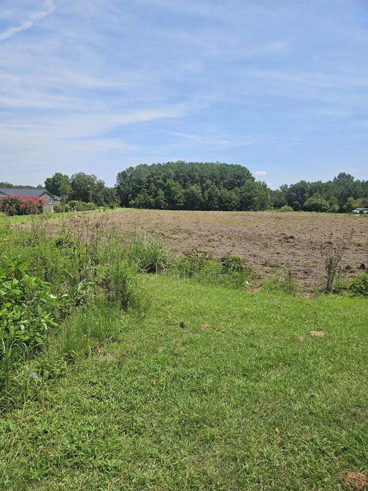 Property Photo: 0 Wolfman Lane SC 29479