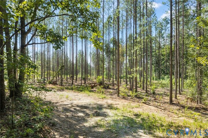 Property Photo: 0 Algerene Rd VA 23937